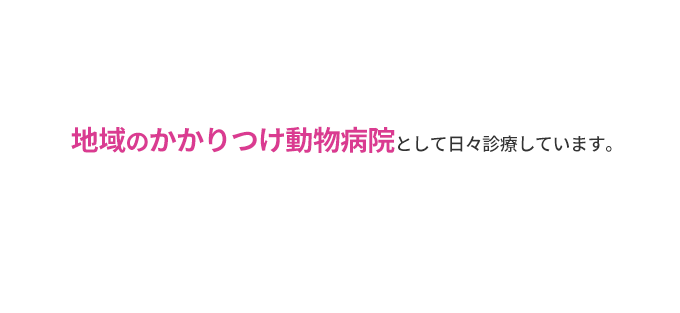 地域のかかりつけ動物病院として日々診療しています。